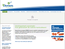 Tablet Screenshot of phdemers.com